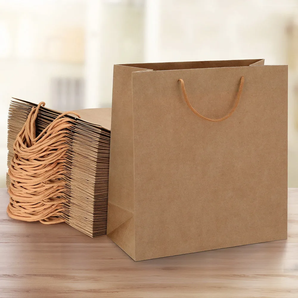 50pcs Reusable Kraft Paper Bags with Fabric Handles