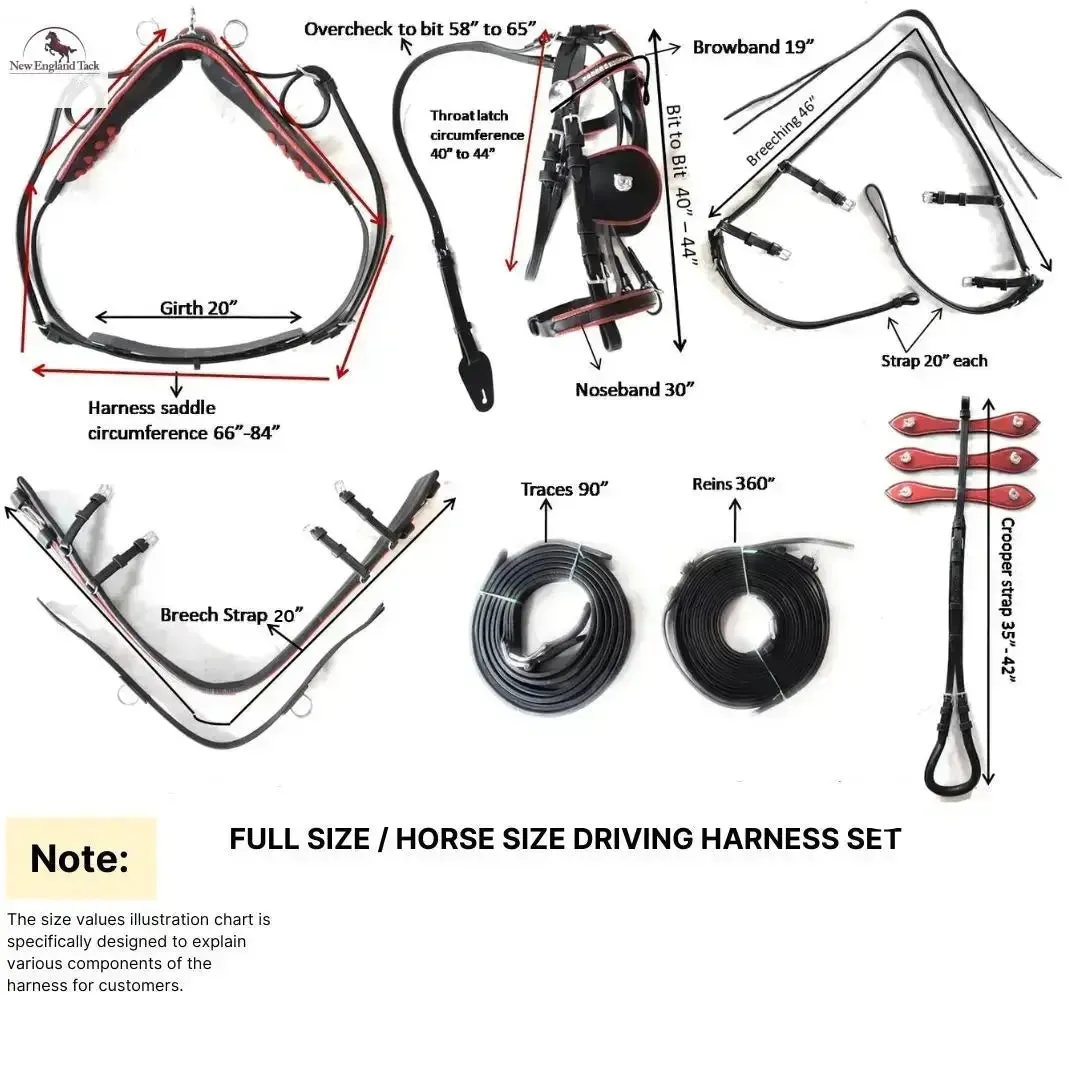 Diplomat Full-Size Horse Driving Harness Set - Premium Cow Softy Leather - Black