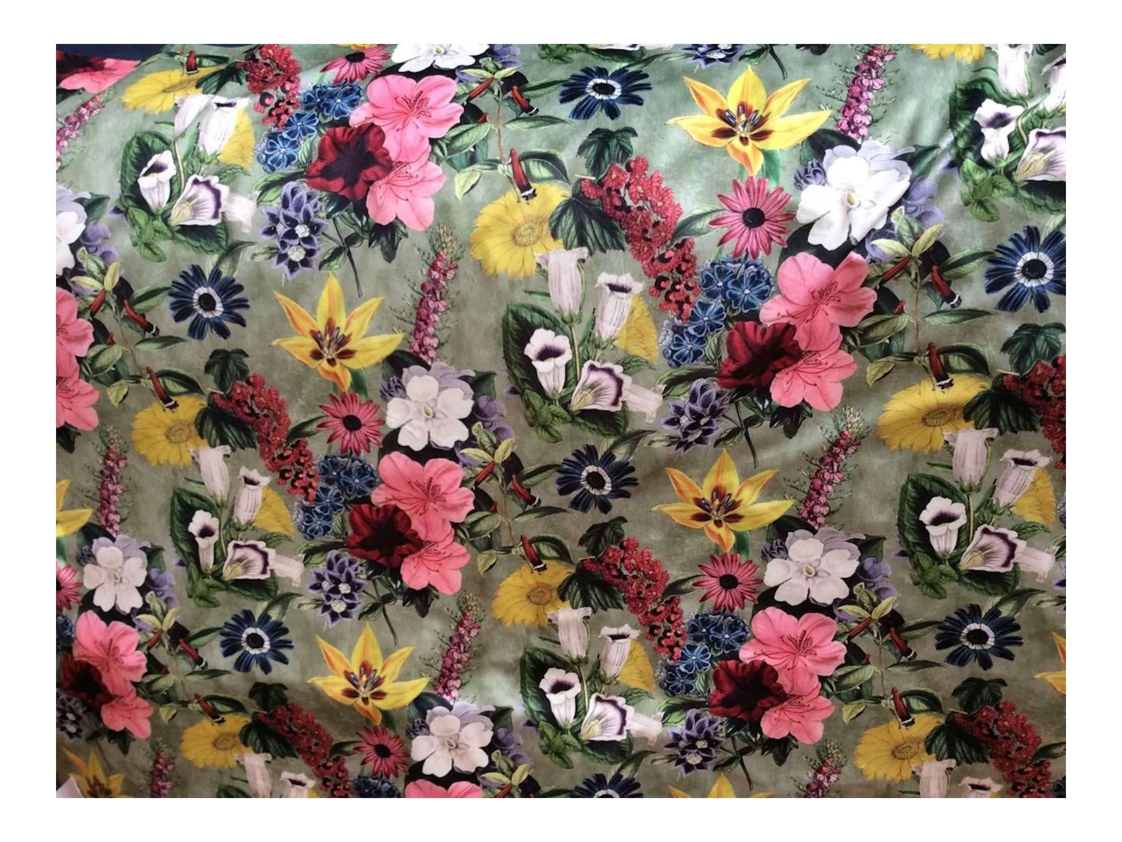 FLORAL FRIENDS  Pattern Upholstery / Furnishing  velvet - 140  cms - 330 gsm