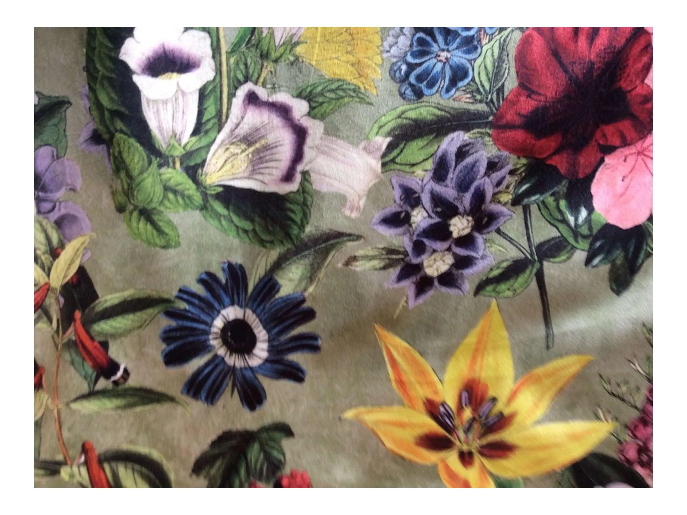 FLORAL FRIENDS  Pattern Upholstery / Furnishing  velvet - 140  cms - 330 gsm