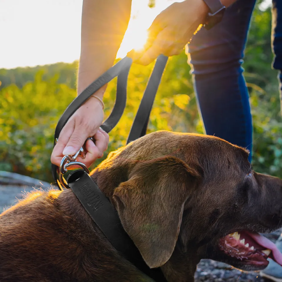 Mighty Paw Distressed Leather Dog Leash: Premium Comfort and Style