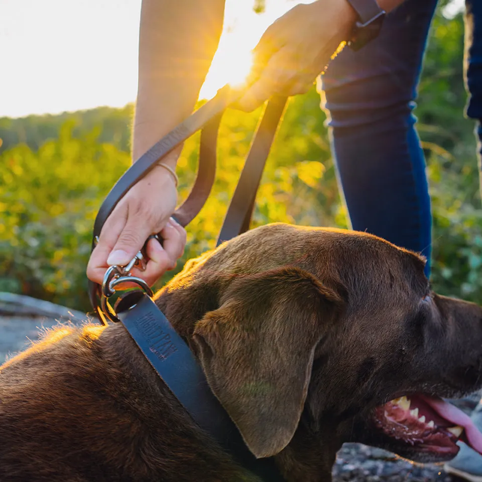 Mighty Paw Distressed Leather Dog Leash: Premium Comfort and Style